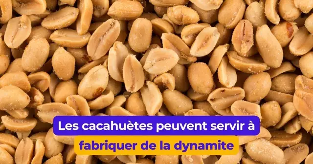 TrucsInoffensifsUtilisesTrucsDangereux