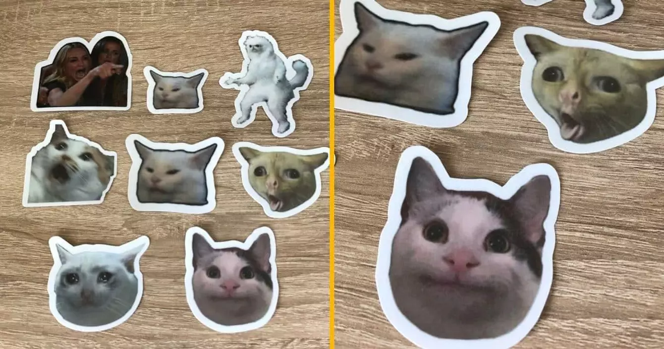 autocollants-memes-chats