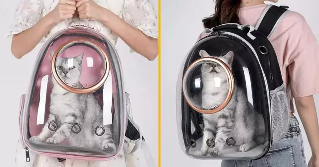 sac-a-dos-transport-chat