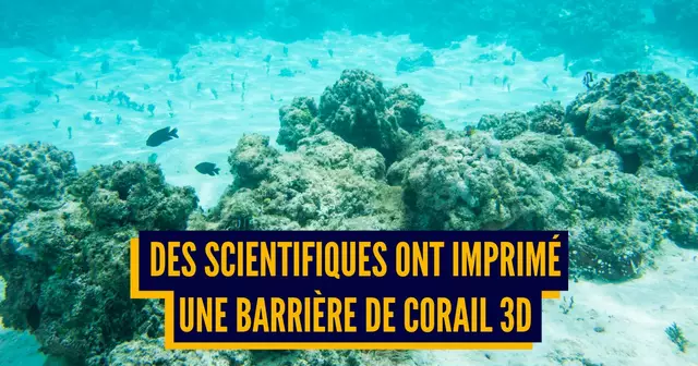 UNE_TOP_IMPRIMES_3D_PAS_PLASTIQUE