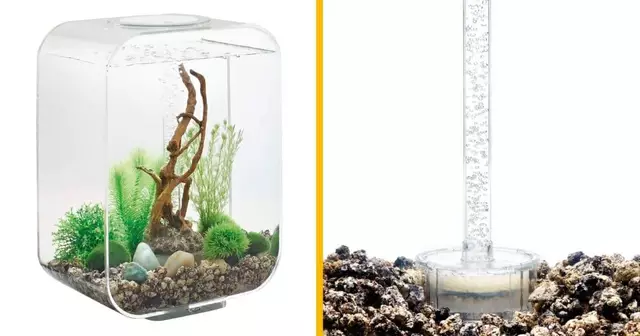 aquarium-equipe-design