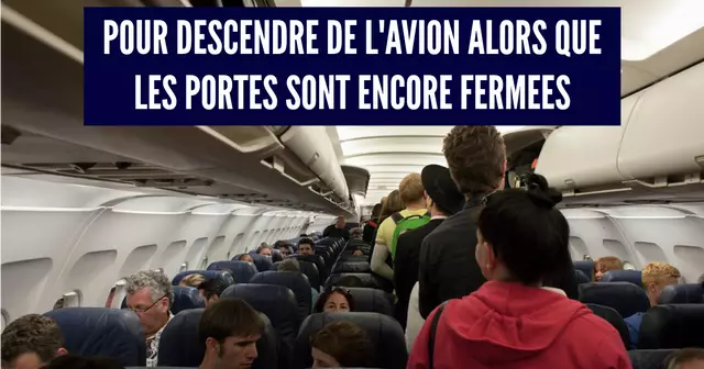 avion
