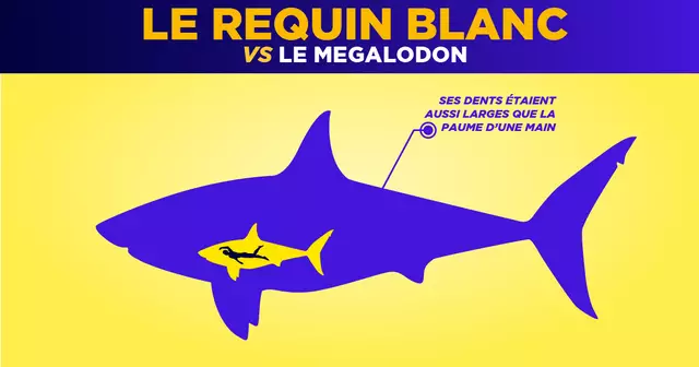 ILLUSTRATION_ANIMAUX_PREHISTORIQUES_VS_MAINTENANT_Plan de travail 43