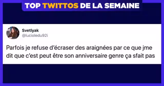 UNE_TOP_TWITTOS_LUCIOLE_2