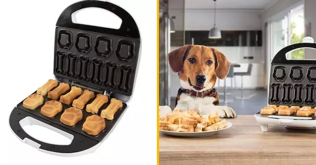 gaufrier-chien-biscuit