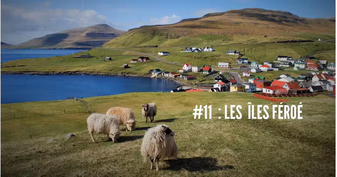 feroe
