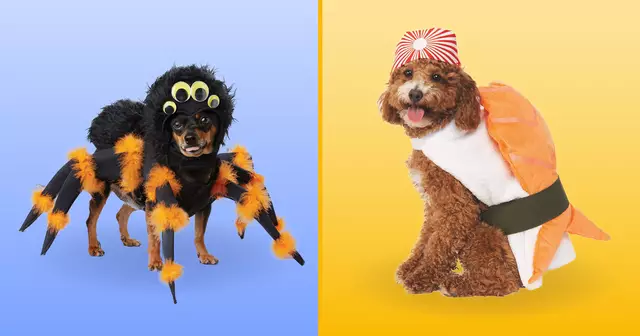 UNE_SHOPPING_costumes-chiens