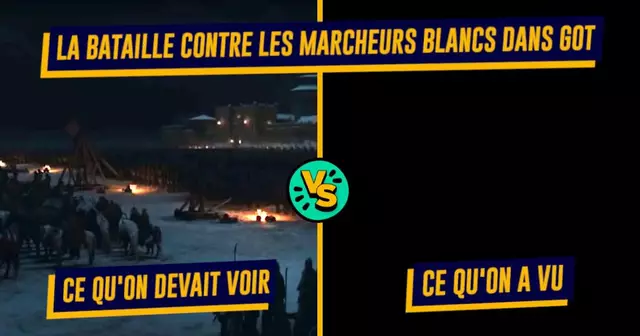 UNE-TOP-FILMS-MAUVAISE-ETALO