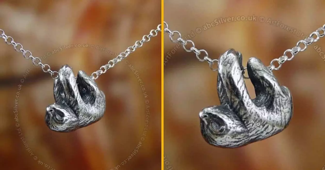 collier-paresseux-porter-cou-animal-prefere