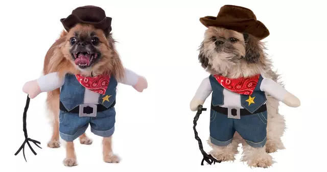 deguisement-chien-cowboy