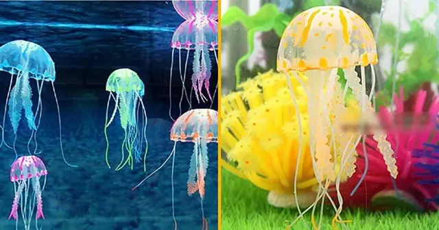 meduses-artificielles-colorees