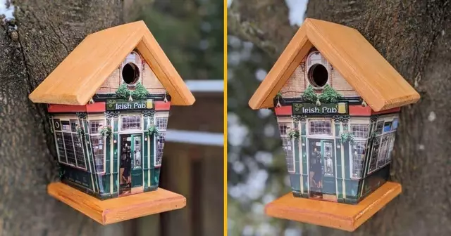pub-irlandais-oiseaux