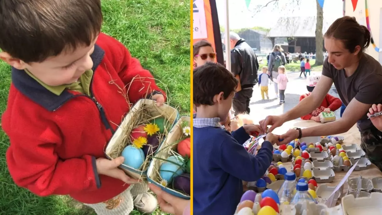 CHASSE-AUX-OEUFS-RAMBOUILLET