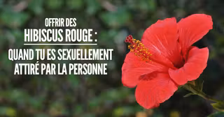 une_fleur_sens