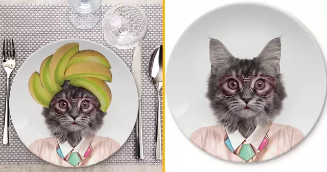 assiette-chat-hipster