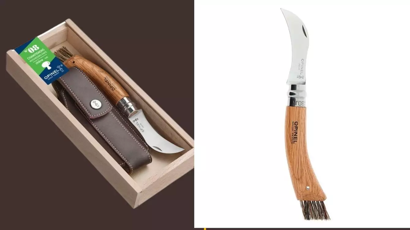 couteau-champignons-cueillette