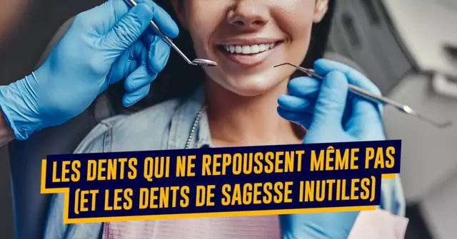 une-top-parties-corps