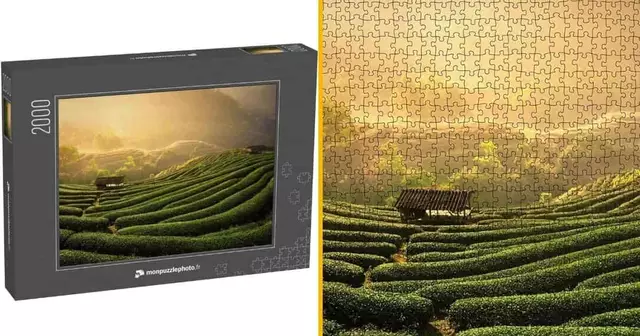 puzzle-plantations-de-the