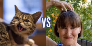 battle-382870-1433414647