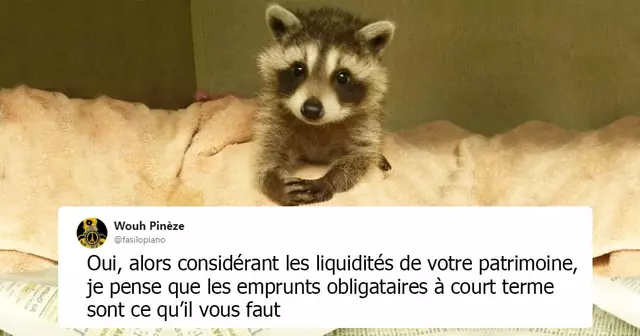 NEW_UNE_TOP_RATON_TWEET