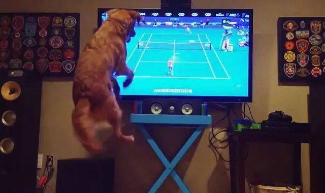 252B654000000578-0-image-a-28_1422546530108