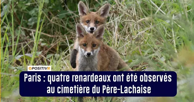 BONNES_NOUVELLES_27AVRIL