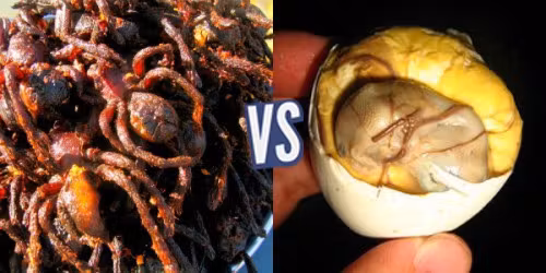 battle-356428-1423853204