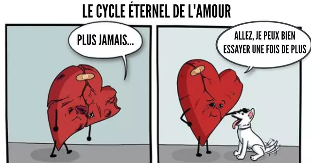 amour
