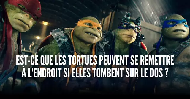 une_tmnt