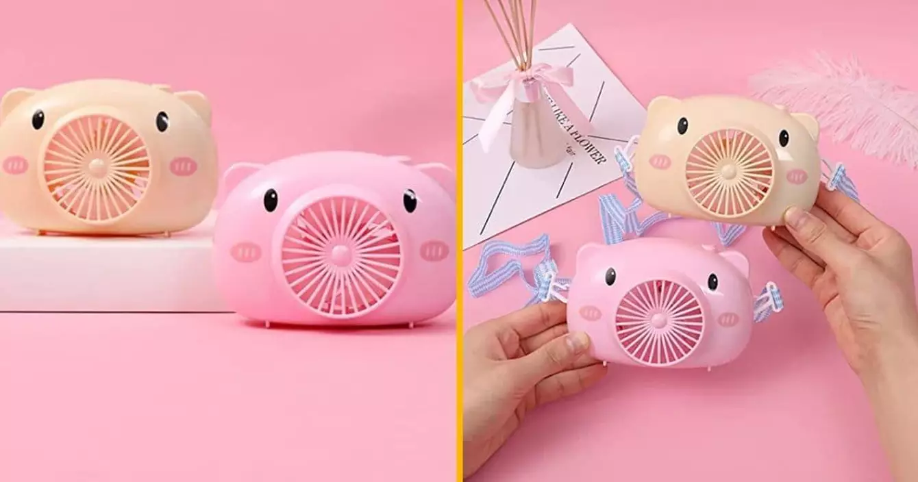 ventilateur-poche-cochon