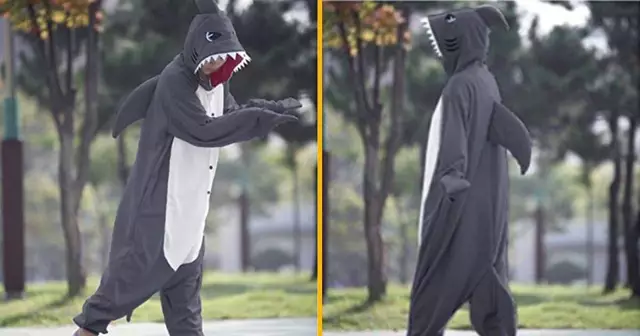 kigurumi-requin