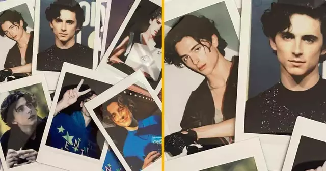 polaroids-timothee