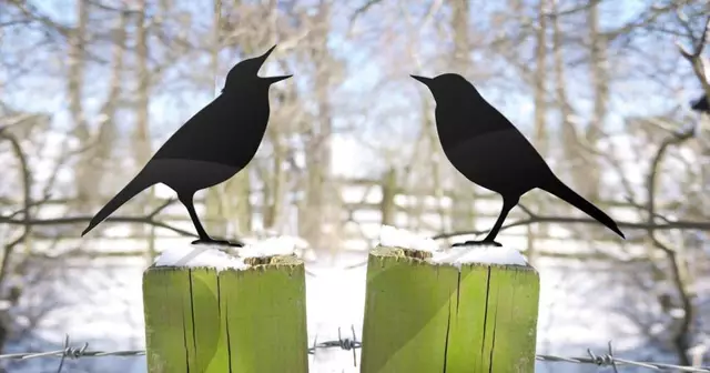 corbeaux-metal-accrocher-sur-balcon