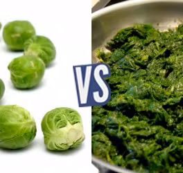 battle-347348-1420045545