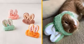 un-bonnet-oreille-de-lapin-pour-chat