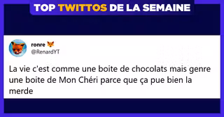 top twittos renardyt