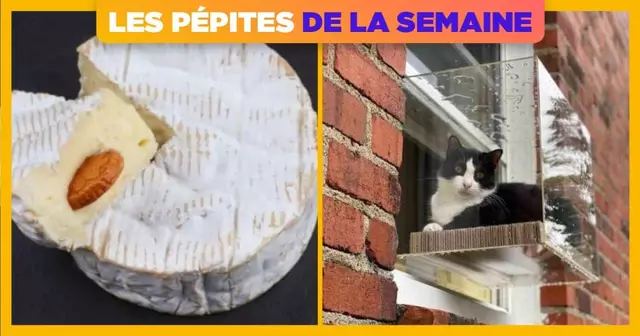 UNE-SHOPPIGN-PEPITE-SEMAINE