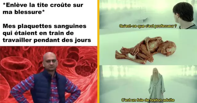 top memes corps humain