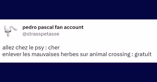 ChosesApprisAnimalCrossing