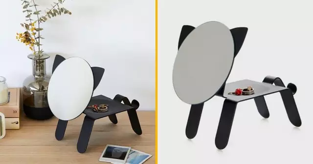 miroir-chat-poser-bijoux