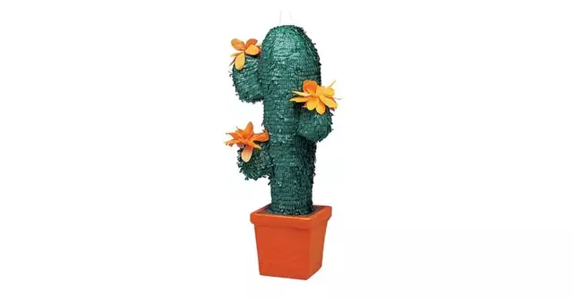 pinata-cactus