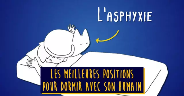 Séquence 03.00_00_03_10.Image fixe001