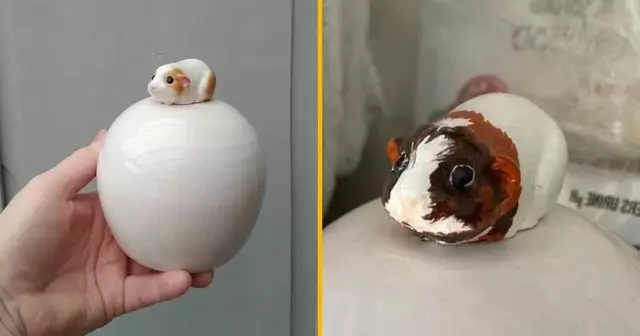 -urne-personnalisee-cochon-inde