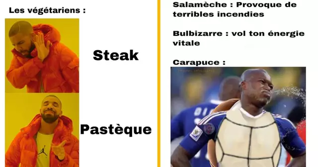 top memes refractaires