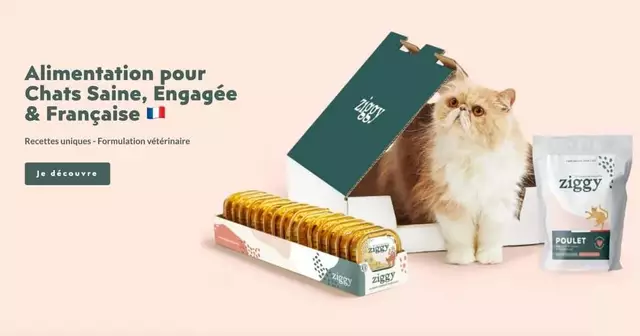 ziggy-marque-haut-de-gamme-chats