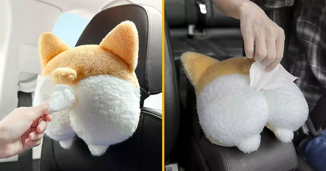 boite-mouchoirs-cul-corgi