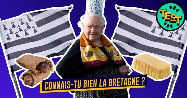 UNE_TOPITO_quiz-OLD-bretagne