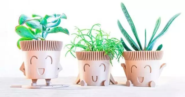 pot-fleur-assis-sourire