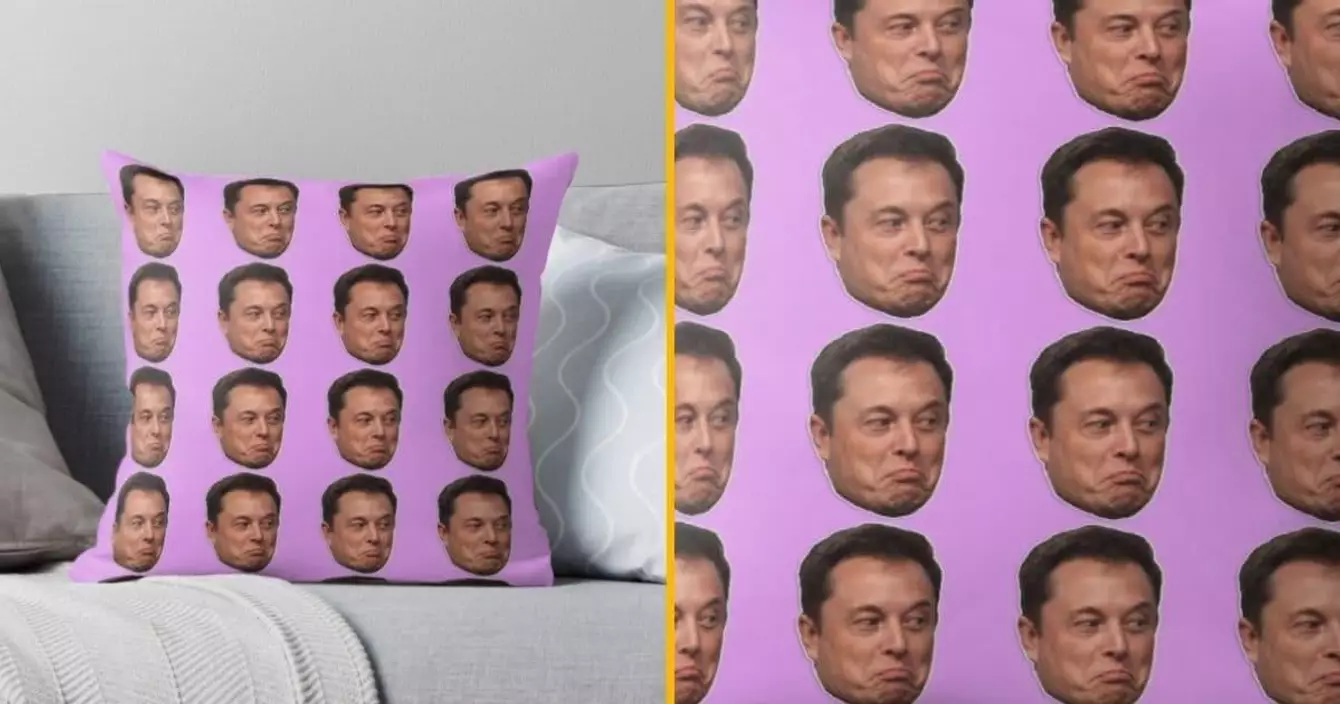 coussin-tetes-elon-musk