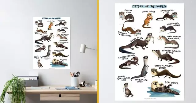 un-poster-de-toutes-les-varietes-de-loutre-du-monde